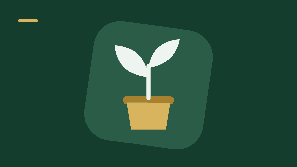 Swiftbanker blogi – Lainan laskeminen